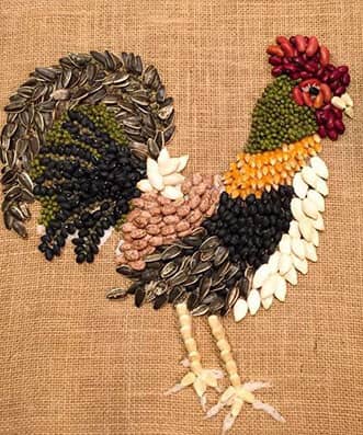 نقاشی خروس با حبوبات